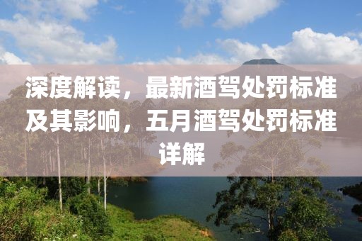 深度解读，最新酒驾处罚标准及其影响，五月酒驾处罚标准详解