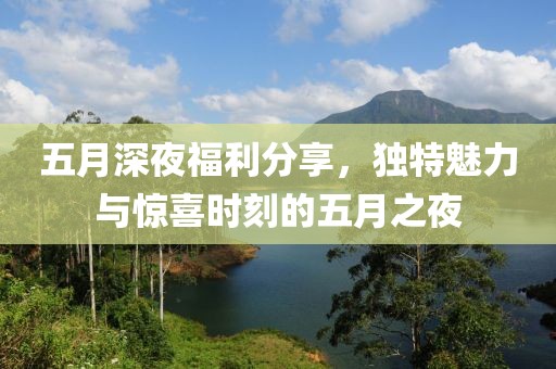 五月深夜福利分享，独特魅力与惊喜时刻的五月之夜