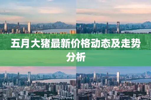 五月大猪最新价格动态及走势分析