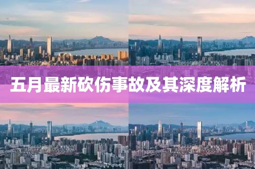 五月最新砍伤事故及其深度解析