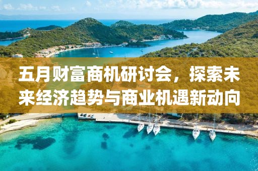 五月财富商机研讨会，探索未来经济趋势与商业机遇新动向