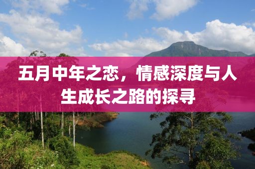 五月中年之恋，情感深度与人生成长之路的探寻