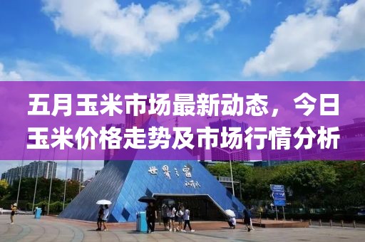 五月玉米市场最新动态，今日玉米价格走势及市场行情分析