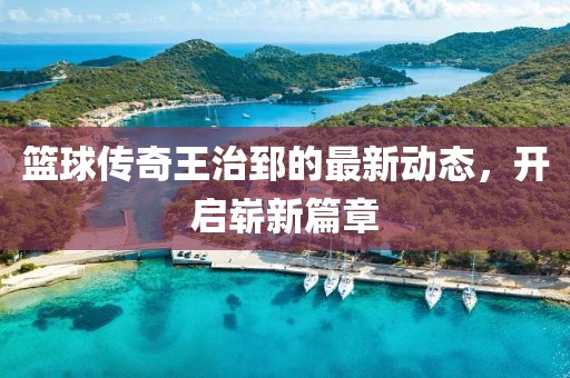 篮球传奇王治郅的最新动态，开启崭新篇章
