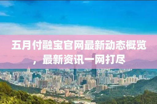 五月付融宝官网最新动态概览，最新资讯一网打尽