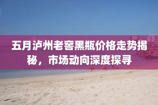 五月泸州老窖黑瓶价格走势揭秘，市场动向深度探寻