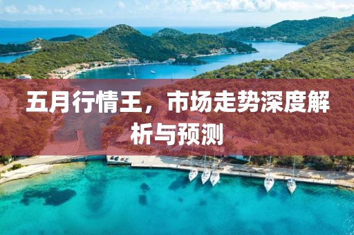 五月行情王，市场走势深度解析与预测