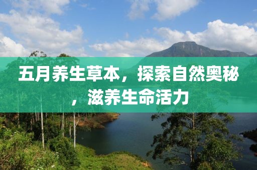 五月养生草本，探索自然奥秘，滋养生命活力