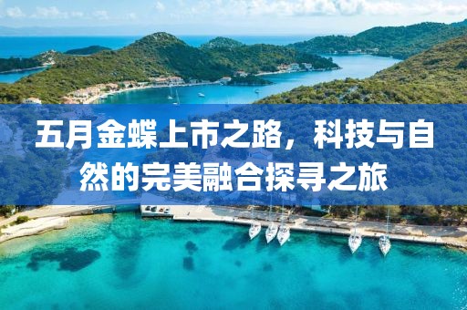 五月金蝶上市之路，科技与自然的完美融合探寻之旅