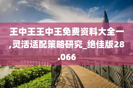 王中王王中王免费资料大全一,灵活适配策略研究_绝佳版28.066