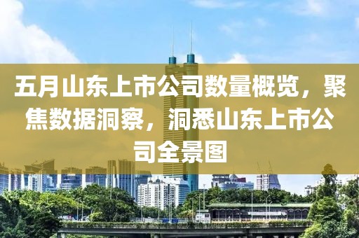 五月山东上市公司数量概览，聚焦数据洞察，洞悉山东上市公司全景图