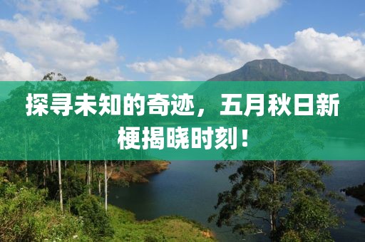探寻未知的奇迹，五月秋日新梗揭晓时刻！