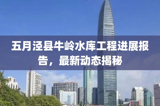 五月泾县牛岭水库工程进展报告，最新动态揭秘