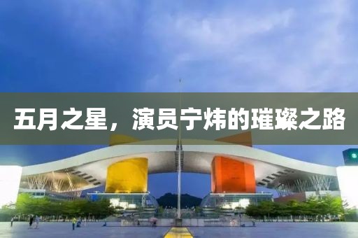 五月之星，演员宁炜的璀璨之路