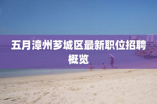 五月漳州芗城区最新职位招聘概览