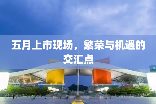五月上市现场，繁荣与机遇的交汇点