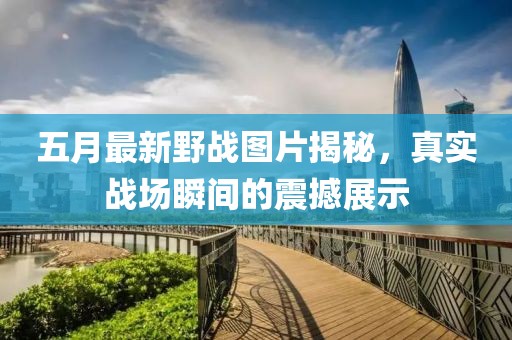五月最新野战图片揭秘，真实战场瞬间的震撼展示