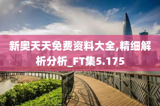 新奥天天免费资料大全,精细解析分析_FT集5.175