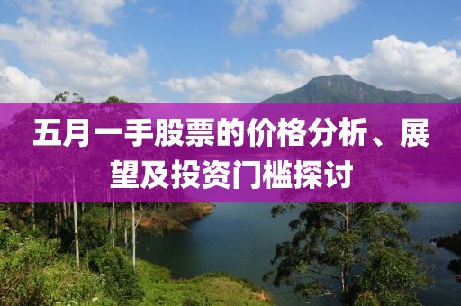 五月一手股票的价格分析、展望及投资门槛探讨