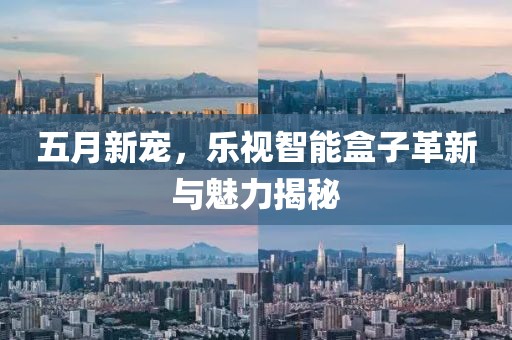 五月新宠，乐视智能盒子革新与魅力揭秘