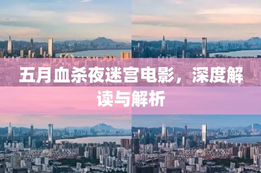 五月血杀夜迷宫电影，深度解读与解析