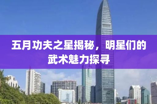 五月功夫之星揭秘，明星们的武术魅力探寻