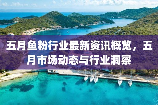 五月鱼粉行业最新资讯概览，五月市场动态与行业洞察