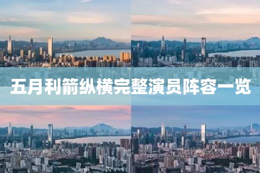 五月利箭纵横完整演员阵容一览
