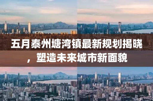 五月泰州塘湾镇最新规划揭晓，塑造未来城市新面貌
