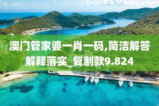 澳门管家婆一肖一码,简洁解答解释落实_复制款9.824