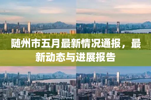随州市五月最新情况通报，最新动态与进展报告