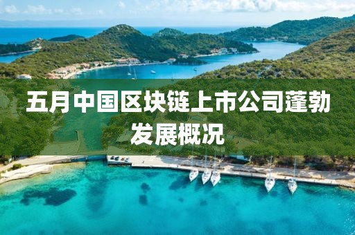 五月中国区块链上市公司蓬勃发展概况