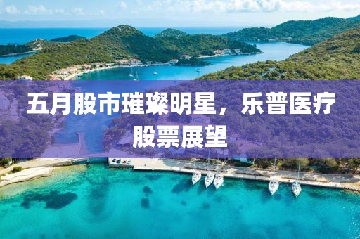 五月股市璀璨明星，乐普医疗股票展望
