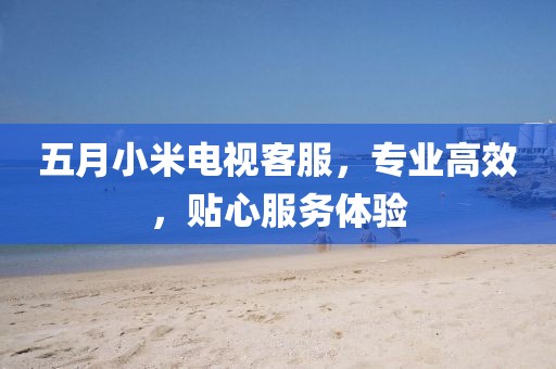 五月小米电视客服，专业高效，贴心服务体验
