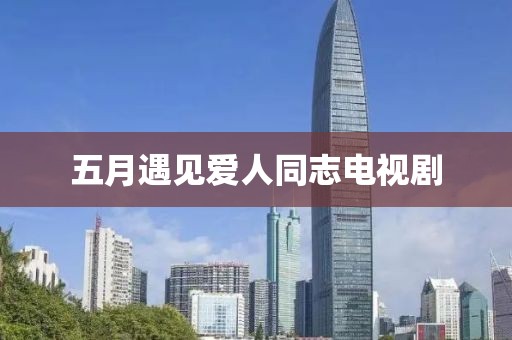 五月遇见爱人同志电视剧