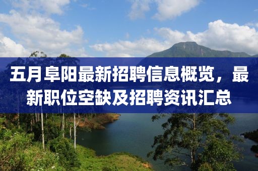 五月阜阳最新招聘信息概览，最新职位空缺及招聘资讯汇总