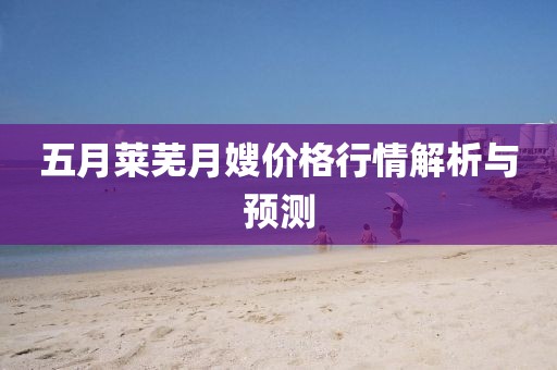 五月莱芜月嫂价格行情解析与预测