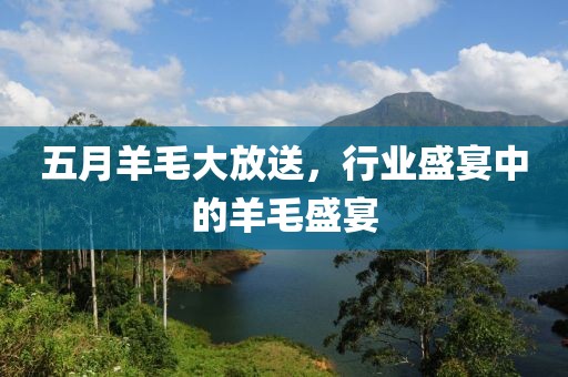五月羊毛大放送，行业盛宴中的羊毛盛宴