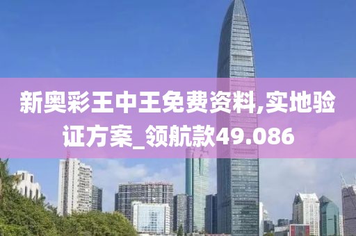 新奥彩王中王免费资料,实地验证方案_领航款49.086