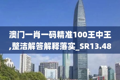 澳门一肖一码精准100王中王,整洁解答解释落实_SR13.48