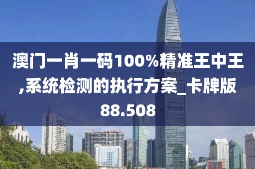 澳门一肖一码100%精准王中王,系统检测的执行方案_卡牌版88.508