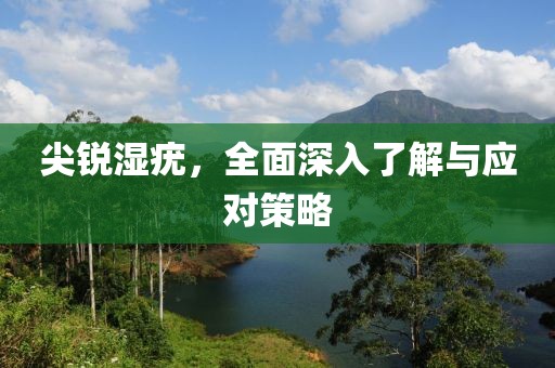 低眉入畫 第69页