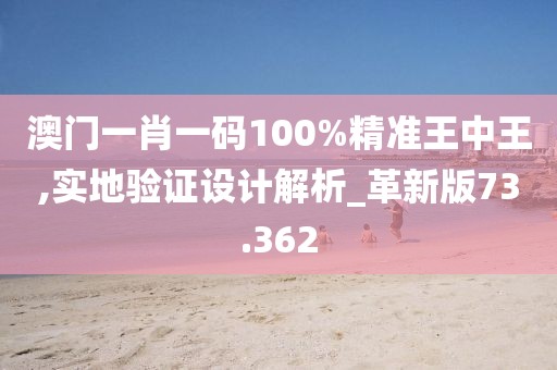 澳门一肖一码100%精准王中王,实地验证设计解析_革新版73.362