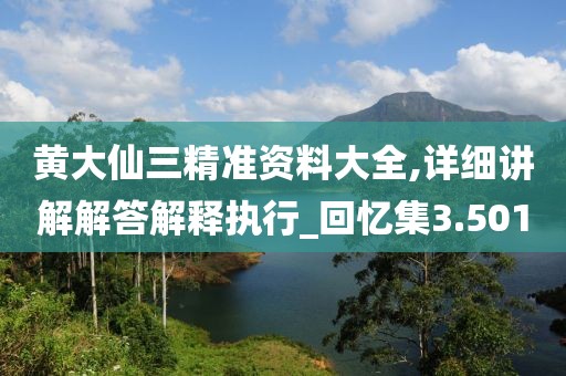 黄大仙三精准资料大全,详细讲解解答解释执行_回忆集3.501