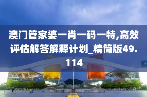 澳门管家婆一肖一码一特,高效评估解答解释计划_精简版49.114
