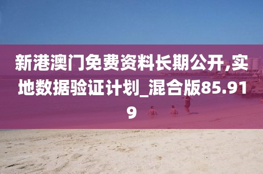 新港澳门免费资料长期公开,实地数据验证计划_混合版85.919