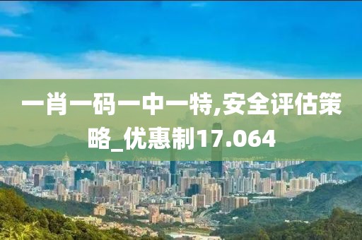 一肖一码一中一特,安全评估策略_优惠制17.064