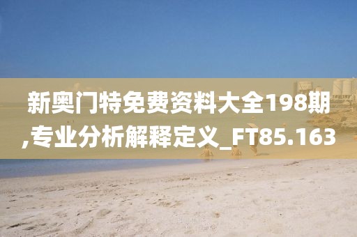 新奥门特免费资料大全198期,专业分析解释定义_FT85.163