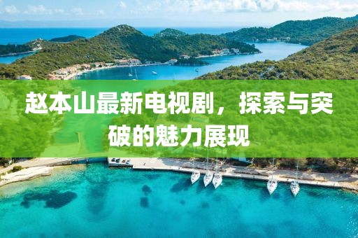 赵本山最新电视剧，探索与突破的魅力展现