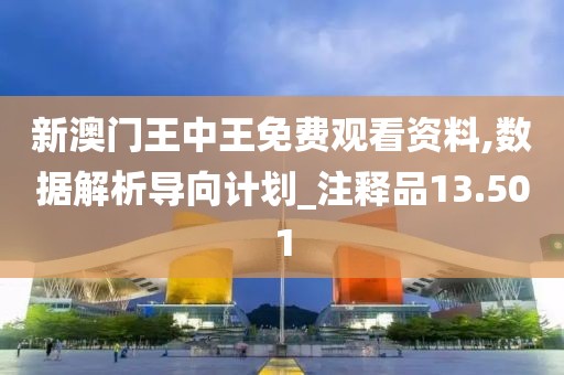 新澳门王中王免费观看资料,数据解析导向计划_注释品13.501